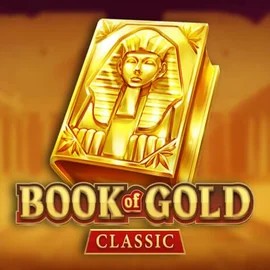 game logo by Playson on voodoo-nz.com