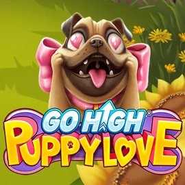 game logo by RubyPlay on voodoo-nz.com